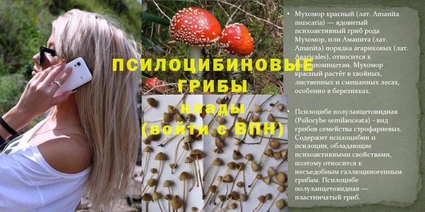амф Гусиноозёрск