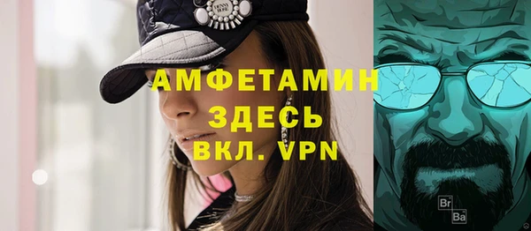 ПСИЛОЦИБИНОВЫЕ ГРИБЫ Гусь-Хрустальный