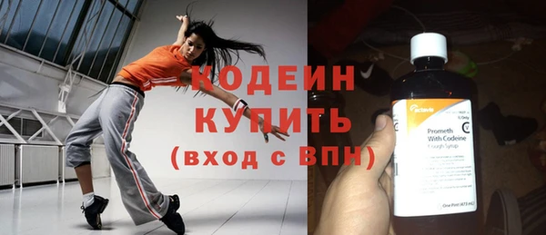 ПСИЛОЦИБИНОВЫЕ ГРИБЫ Гусь-Хрустальный