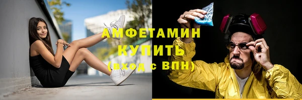 ПСИЛОЦИБИНОВЫЕ ГРИБЫ Гусь-Хрустальный
