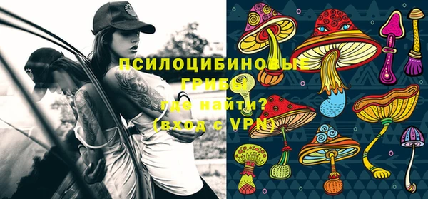 ПСИЛОЦИБИНОВЫЕ ГРИБЫ Гусь-Хрустальный
