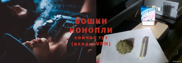 амф Гусиноозёрск