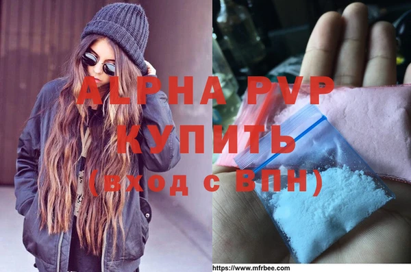 амф Гусиноозёрск