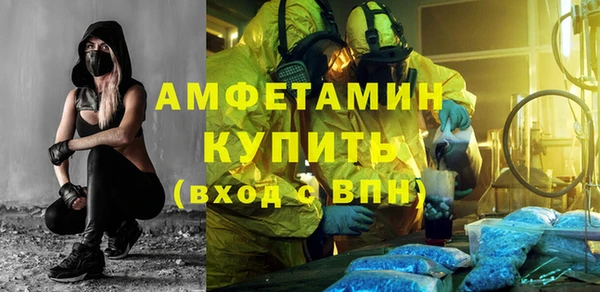ПСИЛОЦИБИНОВЫЕ ГРИБЫ Гусь-Хрустальный