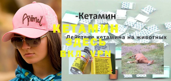 ПСИЛОЦИБИНОВЫЕ ГРИБЫ Гусь-Хрустальный