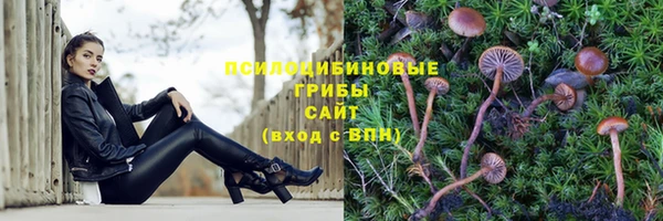 амф Гусиноозёрск