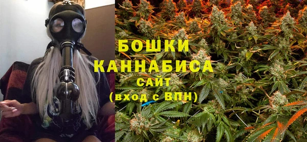 амф Гусиноозёрск