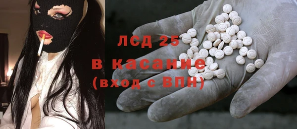 ПСИЛОЦИБИНОВЫЕ ГРИБЫ Гусь-Хрустальный