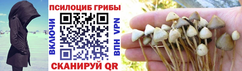 Псилоцибиновые грибы GOLDEN TEACHER  Добрянка 