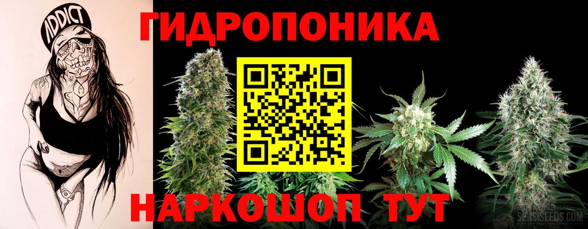 Канабис White Widow Добрянка